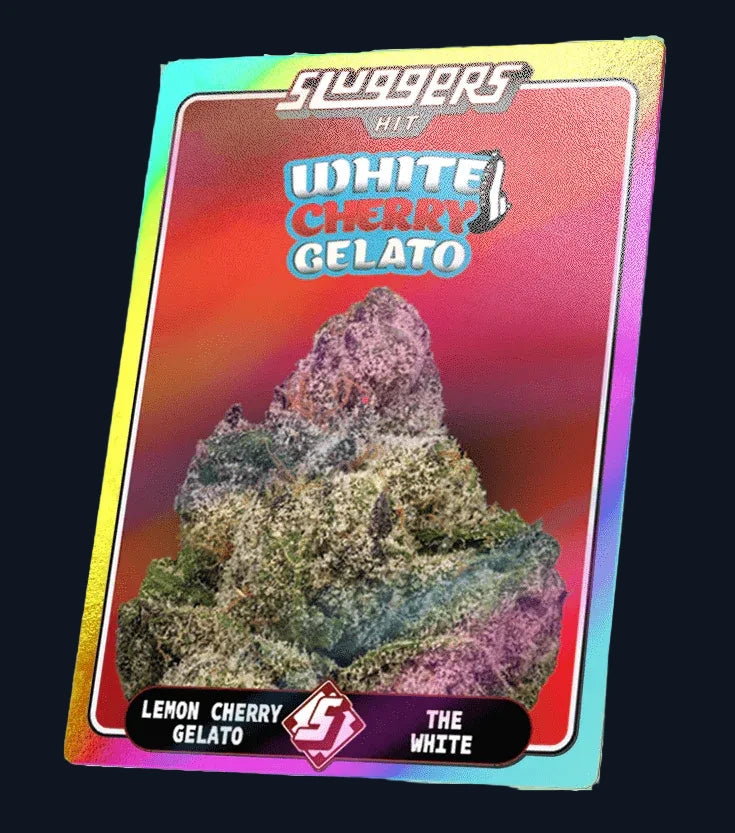 The collectible card from the Sluggers White Cherry Gelato set.