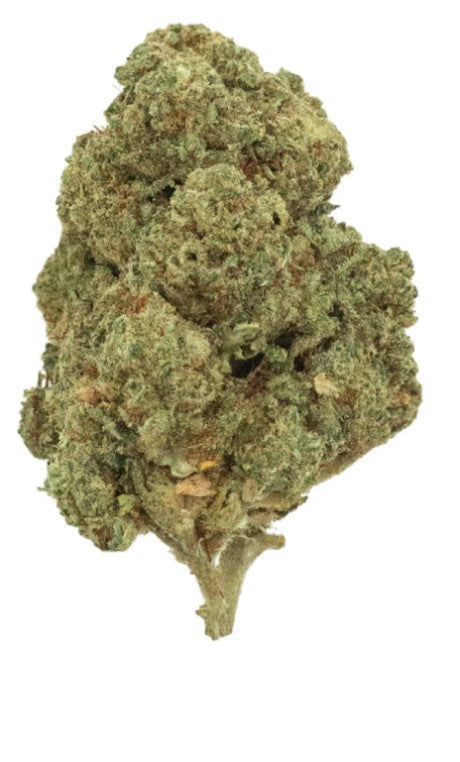 Gorilla Glue
