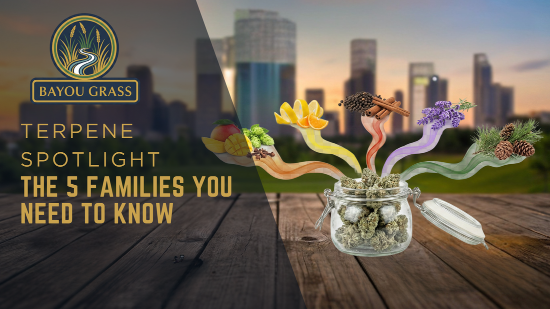 Terpene Spotlight: The 5 Families You Need to Know blog post by Bayou Grass