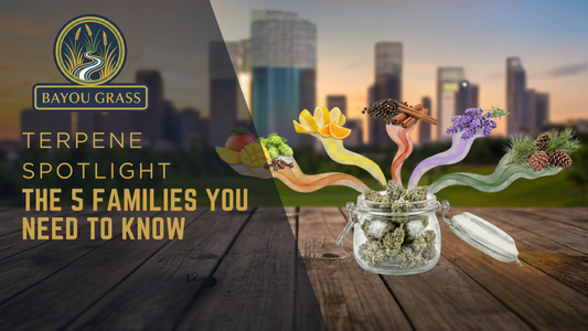 Terpene Spotlight: The 5 Families You Need to Know blog post by Bayou Grass