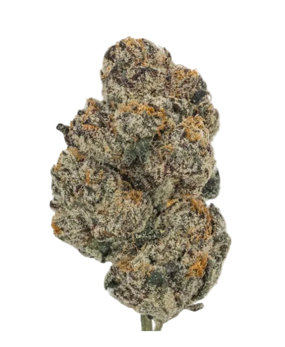 Black Cherry Gelato