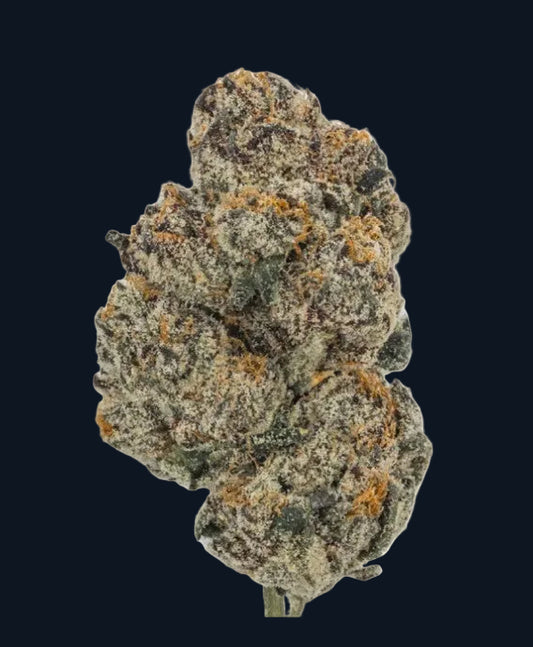 A nugget of Black Cherry Gelato flower