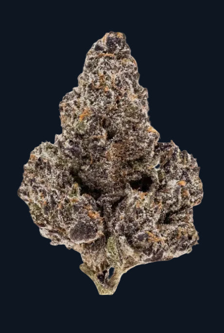 A nugget of Durban Poison flower