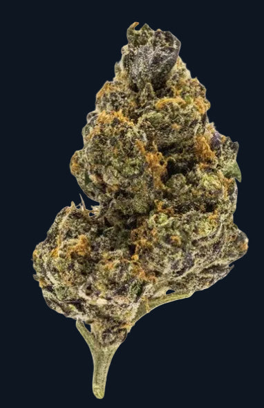 A nugget of Gary Payton flower