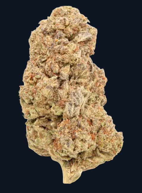 A nugget of King Louis XIII OG flower