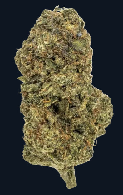 A nugget of Lemon Cherry Gelato flower