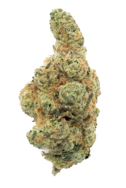 Northern Lights